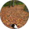 Jacqueline Syring Avatar